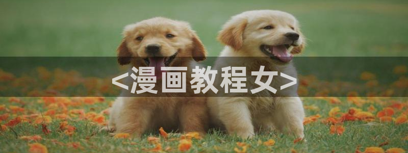 香蕉漫画在线入口