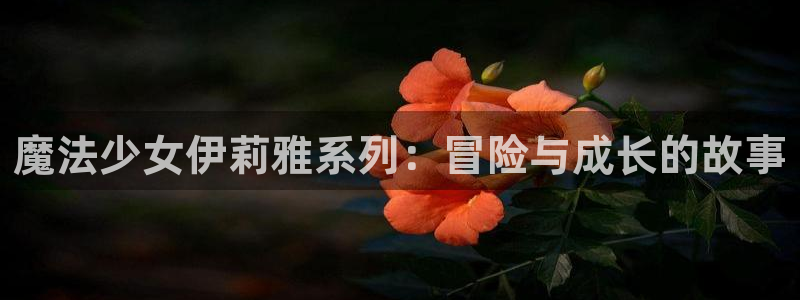 香蕉漫画下拉式小说