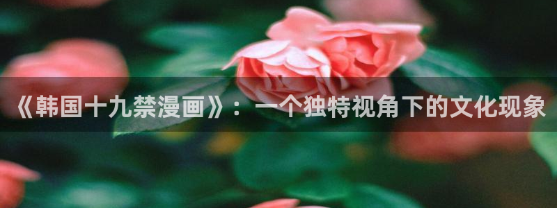 香蕉漫画破解