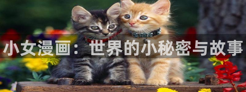 香蕉文化漫画app