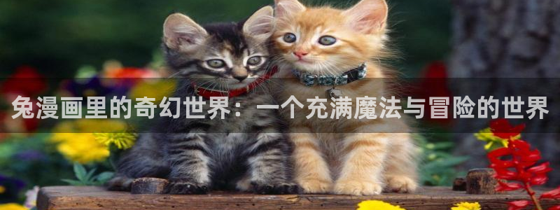 香蕉漫画进入