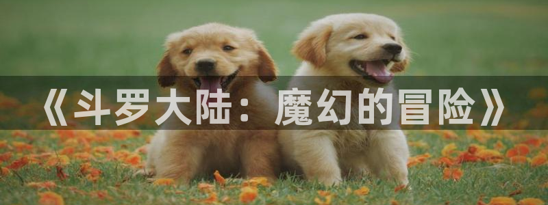 香蕉文化漫画入口页面