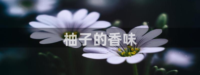 香蕉文化免费漫画入口