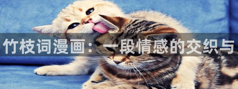 香蕉漫画官网首页
